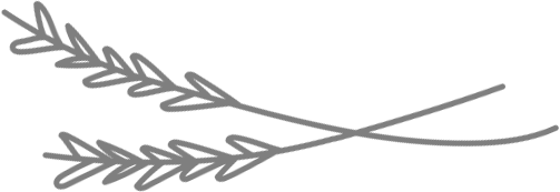 leaf-icon